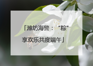 潍坊海警：“粽”享欢乐共度端午