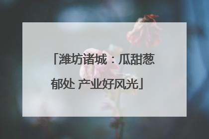 潍坊诸城：瓜甜葱郁处 产业好风光
