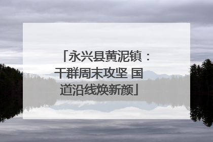 永兴县黄泥镇：干群周末攻坚 国道沿线焕新颜