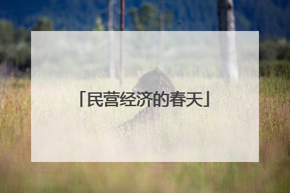 民营经济的春天