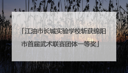 江油市长城实验学校斩获绵阳市首届武术联赛团体一等奖
