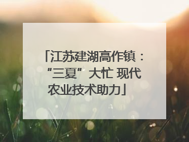 江苏建湖高作镇：“三夏”大忙 现代农业技术助力