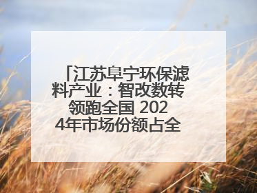 江苏阜宁环保滤料产业：智改数转领跑全国 2024年市场份额占全国三分之一