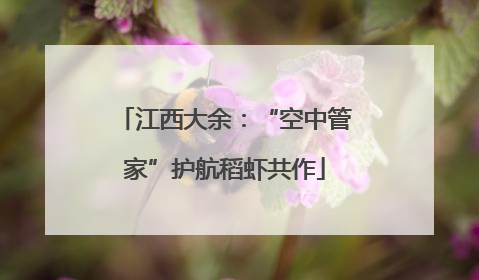 江西大余：“空中管家”护航稻虾共作
