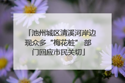 池州城区清溪河岸边现众多“梅花桩” 部门回应市民关切