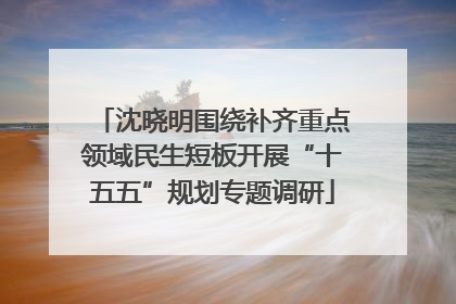 沈晓明围绕补齐重点领域民生短板开展“十五五”规划专题调研