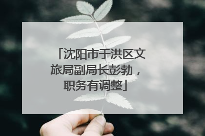 沈阳市于洪区文旅局副局长彭勃，职务有调整
