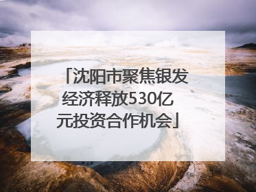 沈阳市聚焦银发经济释放530亿元投资合作机会
