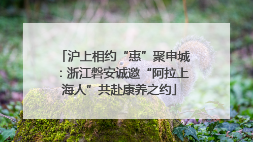 沪上相约“惠”聚申城：浙江磐安诚邀“阿拉上海人”共赴康养之约