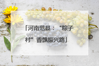 河南范县：“粽子村”香飘振兴路