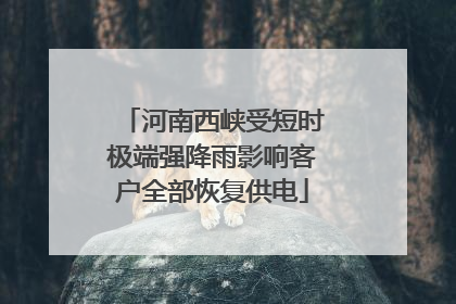 河南西峡受短时极端强降雨影响客户全部恢复供电