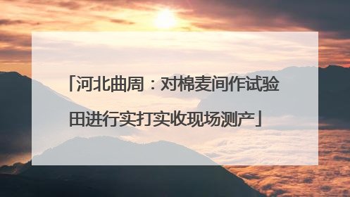 河北曲周：对棉麦间作试验田进行实打实收现场测产