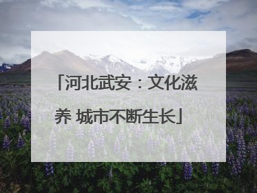 河北武安：文化滋养 城市不断生长