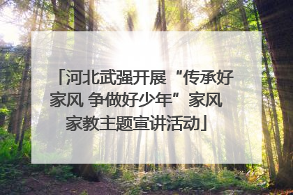 河北武强开展“传承好家风 争做好少年”家风家教主题宣讲活动