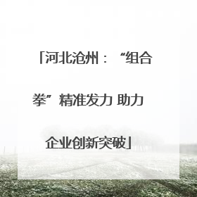 河北沧州：“组合拳”精准发力 助力企业创新突破