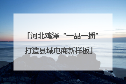 河北鸡泽“一品一播”打造县域电商新样板