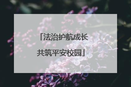 法治护航成长 共筑平安校园