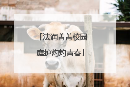 法润菁菁校园 庭护灼灼青春