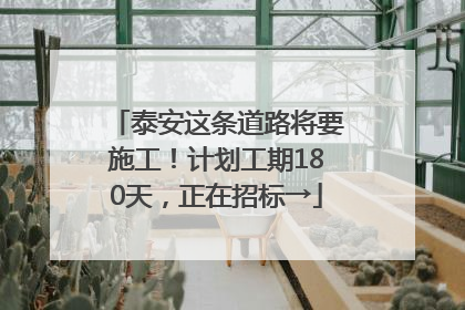 泰安这条道路将要施工！计划工期180天，正在招标→
