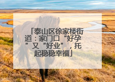 泰山区徐家楼街道：家门口“好孕”又“好业”，托起稳稳幸福