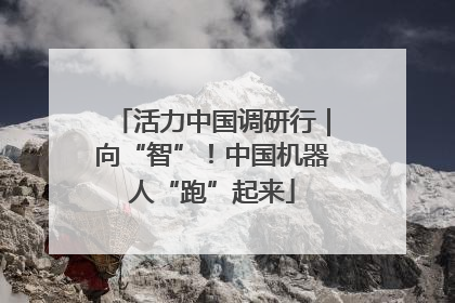 活力中国调研行｜向“智”！中国机器人“跑”起来