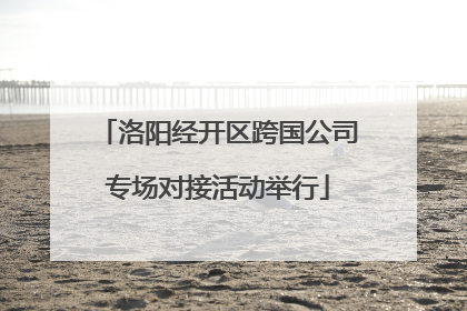 洛阳经开区跨国公司专场对接活动举行