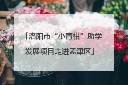 洛阳市“小青柑”助学发展项目走进孟津区