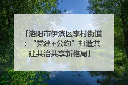 洛阳市伊滨区李村街道：“党建+公约”打造共建共治共享新格局