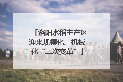 洛阳水稻主产区迎来规模化、机械化“二次变革”