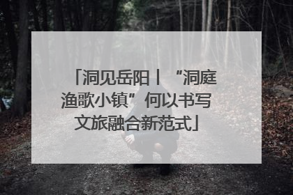 洞见岳阳丨“洞庭渔歌小镇”何以书写文旅融合新范式