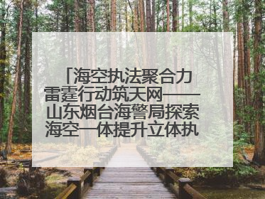 海空执法聚合力 雷霆行动筑天网——山东烟台海警局探索海空一体提升立体执法效能纪实