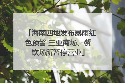海南四地发布暴雨红色预警 三亚商场、餐饮场所暂停营业