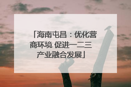 海南屯昌：优化营商环境 促进一二三产业融合发展