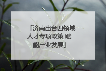 济南出台四领域人才专项政策 赋能产业发展