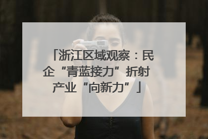 浙江区域观察：民企“青蓝接力”折射产业“向新力”