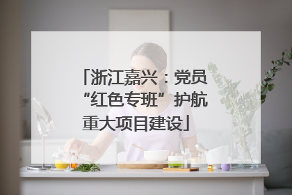 浙江嘉兴：党员“红色专班”护航重大项目建设