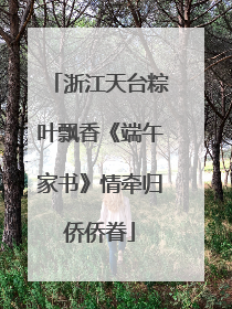 浙江天台粽叶飘香《端午家书》情牵归侨侨眷