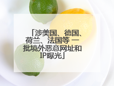 涉美国、德国、荷兰、法国等 一批境外恶意网址和IP曝光