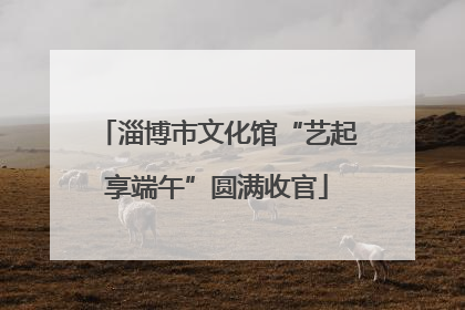 淄博市文化馆“艺起享端午”圆满收官