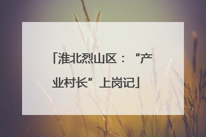 淮北烈山区：“产业村长”上岗记