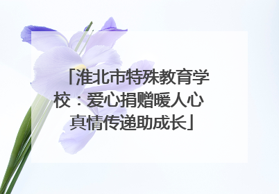 淮北市特殊教育学校：爱心捐赠暖人心 真情传递助成长