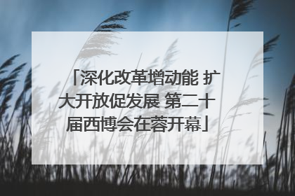 深化改革增动能 扩大开放促发展 第二十届西博会在蓉开幕