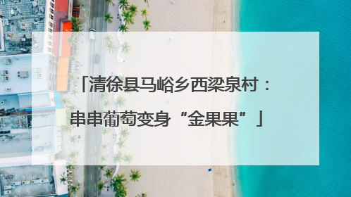 清徐县马峪乡西梁泉村：串串葡萄变身“金果果”