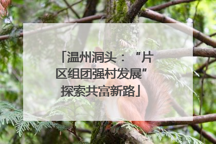 温州洞头：“片区组团强村发展”探索共富新路