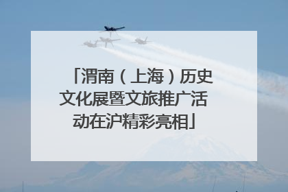 渭南（上海）历史文化展暨文旅推广活动在沪精彩亮相