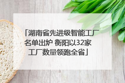 湖南省先进级智能工厂名单出炉 衡阳以32家工厂数量领跑全省