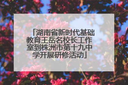 湖南省新时代基础教育王岳名校长工作室到株洲市第十九中学开展研修活动