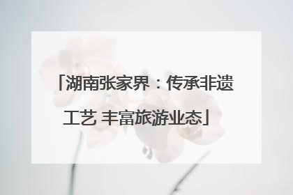 湖南张家界：传承非遗工艺 丰富旅游业态
