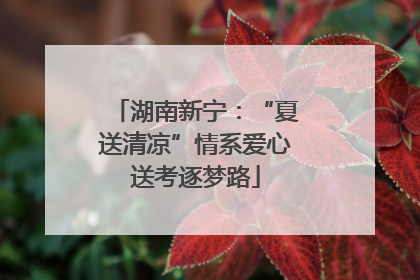 湖南新宁：“夏送清凉”情系爱心送考逐梦路