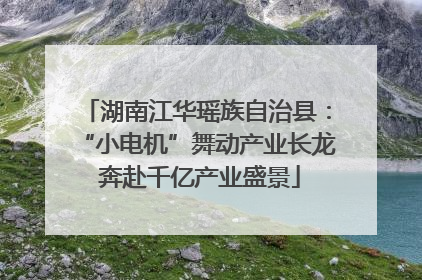 湖南江华瑶族自治县：“小电机”舞动产业长龙 奔赴千亿产业盛景